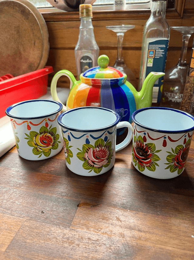 Vintage Enamel Mug hand painted with Canal Art Roses